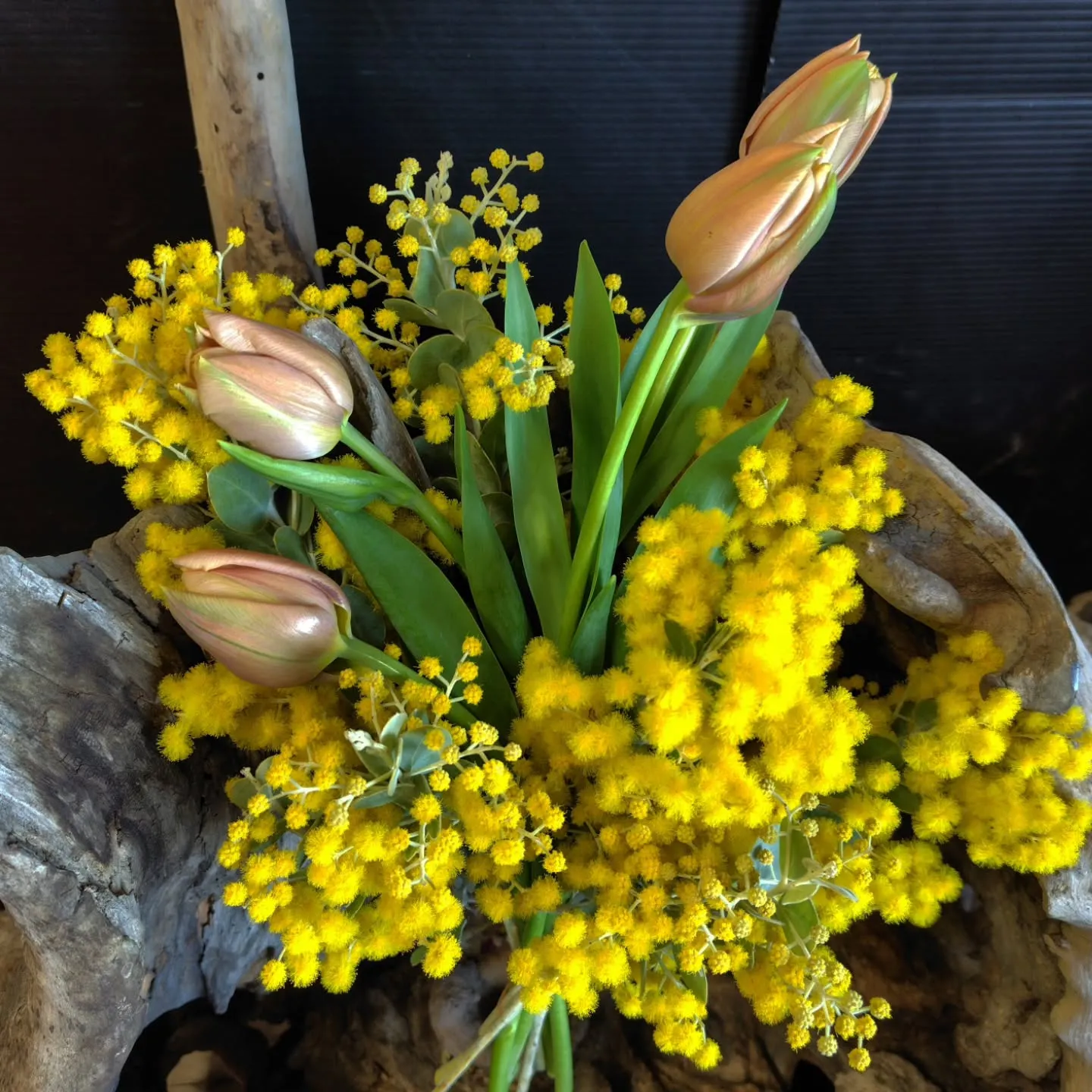 ラベルエポック🤎